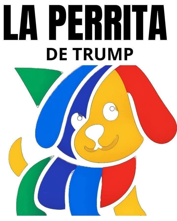 carlossanicbc's tweet photo. @RicardoBSalinas 
La perrita de Trump.
https://t.co/LZSoe0QCjI https://t.co/NWZqsEmZPi