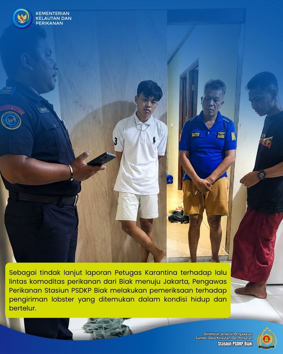 wasbik's tweet photo. Sebagai tindak lanjut laporan Petugas Karantina terhadap lalu lintas komoditas perikanan dari Biak menuju Jakarta, Pengawas Perikanan melakukan pemeriksaan terhadap pengiriman lobster yang ditemukan dalam kondisi hidup dan bertelur.Hasil pemeriksaan menemukan sebanyak 28 ekor. https://t.co/b5yFppp58g
