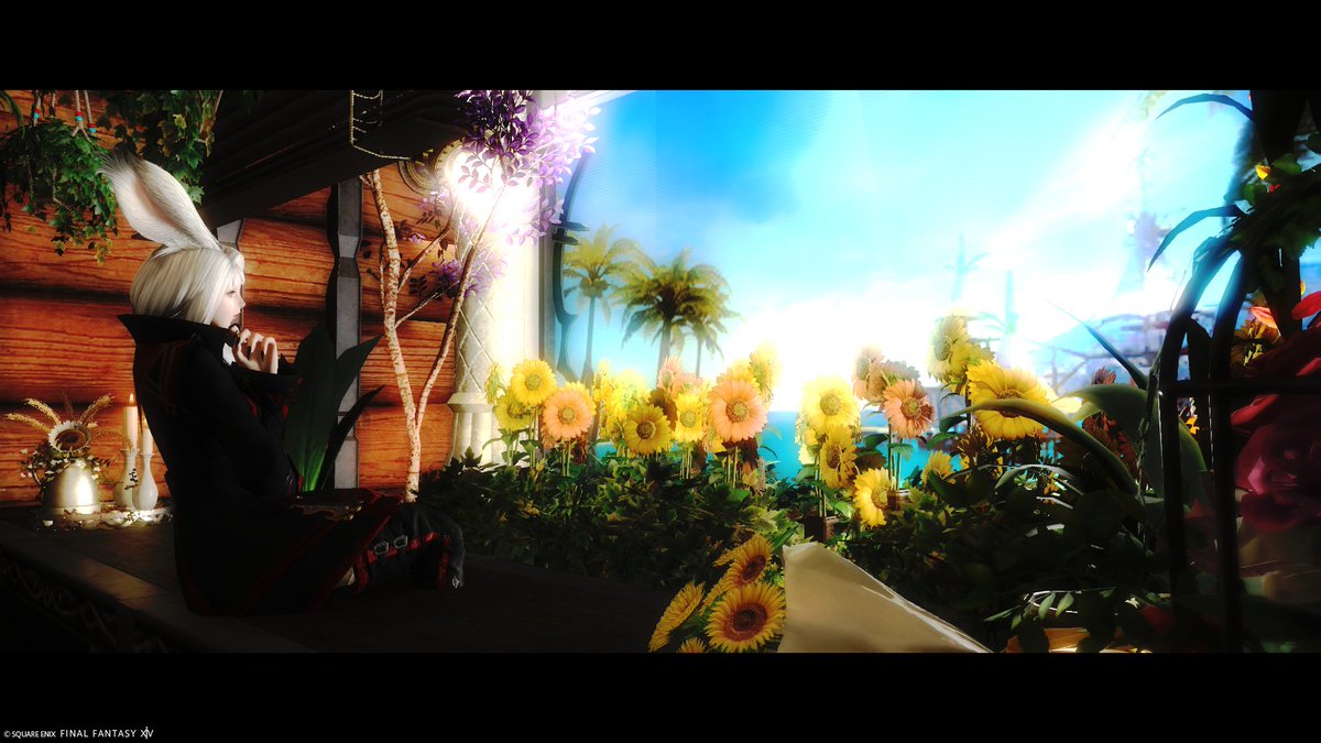 NeetNiya's tweet photo. #Fra_ST
#グルポ色
#FFXIV
#TLにヴィエラを貼ろう
#綺麗なお姉さんは好きですか
#疲れた時に見るヴィエラは自律神経を整えてくれるらしい
#ようこそ美しきヴィエラの世界へ
#影のカメラマン
©︎SQUARE ENIX https://t.co/Hbz0UwIeTy