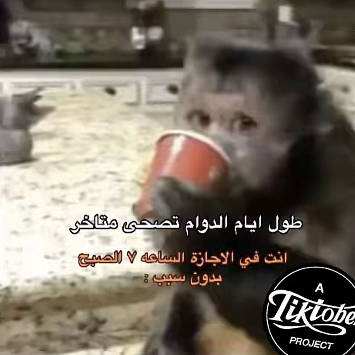 GoatFaisal's tweet photo. حصل https://t.co/al39CgHms5