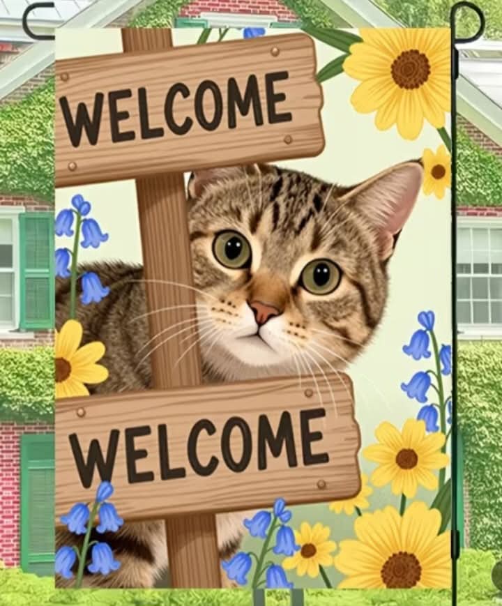 MPCOLrescue's tweet photo. We have over 300 items available in our new awkshuhn on Facebook. Most items are brand new. Please go take a look. All funds go towards food, litter and meds for the rescue cats. Get something for yourself or a friend for a good cause. 😺💖 https://t.co/RM1FeDA6ar