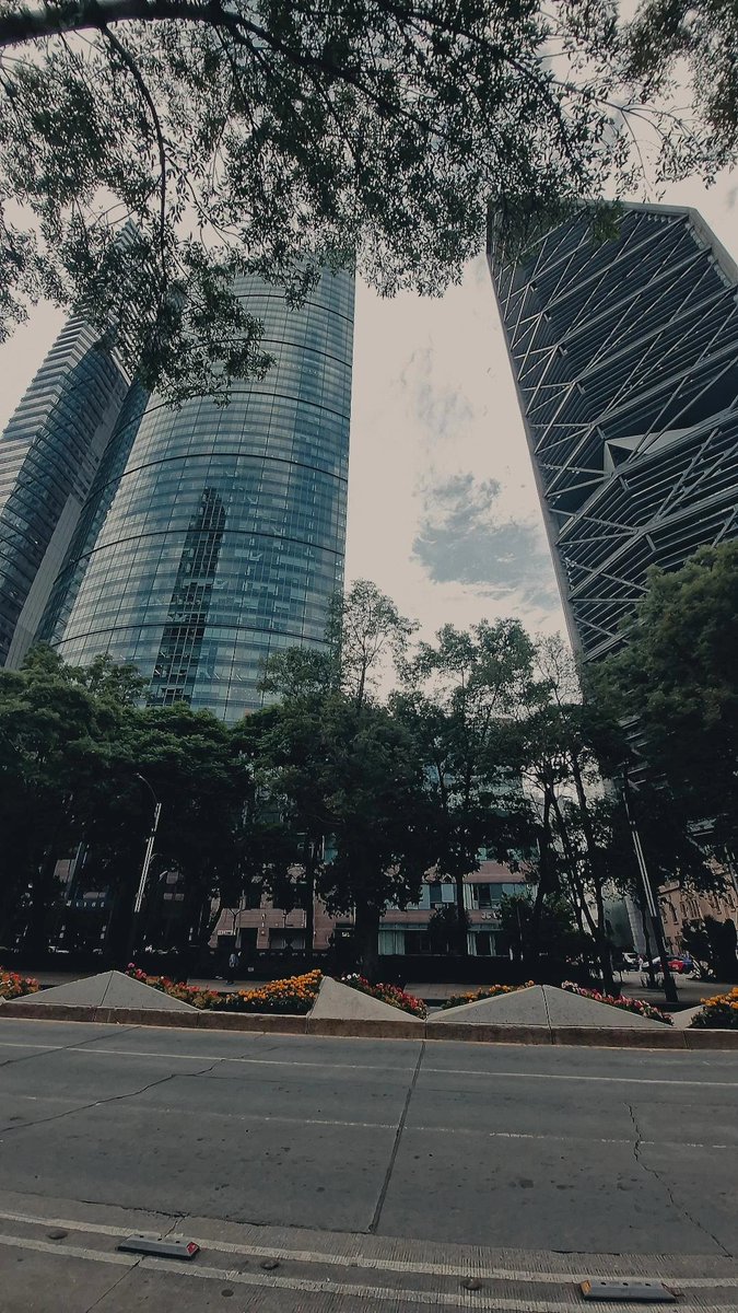 QarinaParra's tweet photo. Amo esta ciudad, no la cambiaría por nada en el mundo!✨️ https://t.co/YaPLfpxe7l
