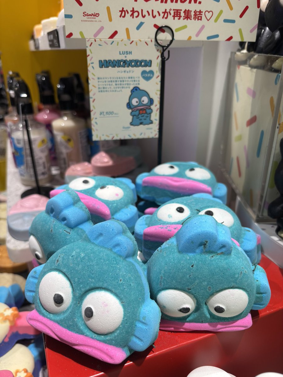 はんぎょどどどん tweet media
