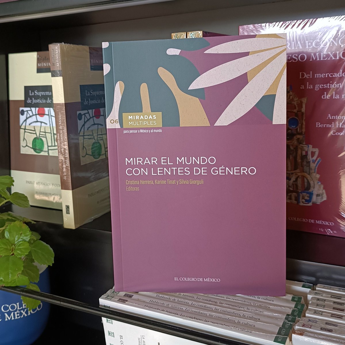 Publicaciones de El Colegio de México tweet media
