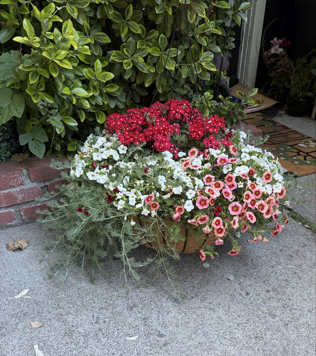 TJMAGrandma's tweet photo. @BorghardtLaw @derekvampyrslyr My new ones! https://t.co/HmLTs1EvUA
