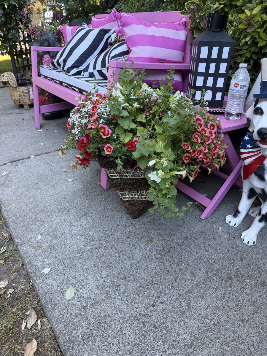 TJMAGrandma's tweet photo. @BorghardtLaw @derekvampyrslyr My new ones! https://t.co/HmLTs1EvUA