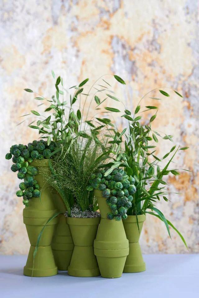 Den69719951's tweet photo. DIY a mini terracotta succulent pot with just clay and sand today! Perfect weekend craft to spruce up your desk https://t.co/wsOg8nIqIz
