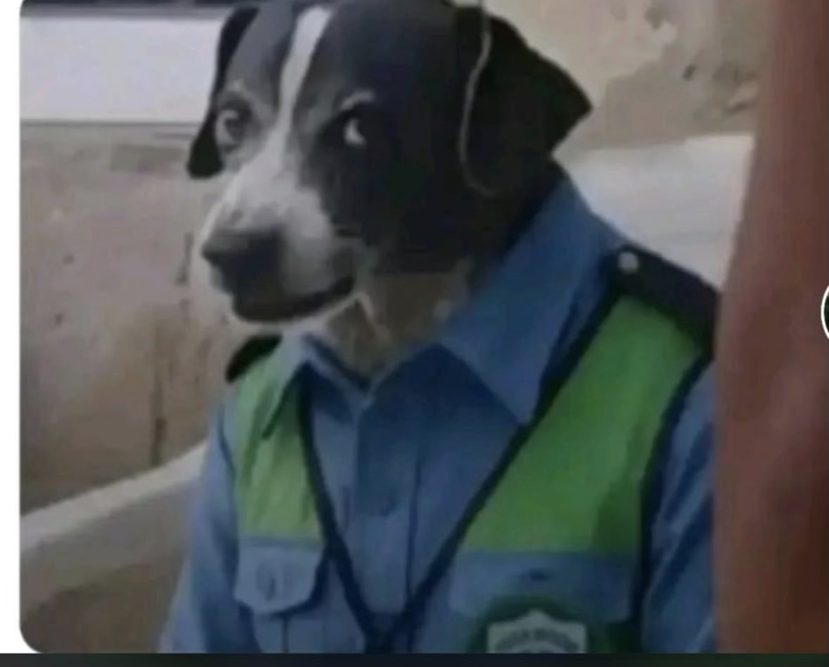 Jayj2560's tweet photo. Traffic officers after finding all your documents are valid.
"Why are you breathing while driving? https://t.co/syPH36KgvJ