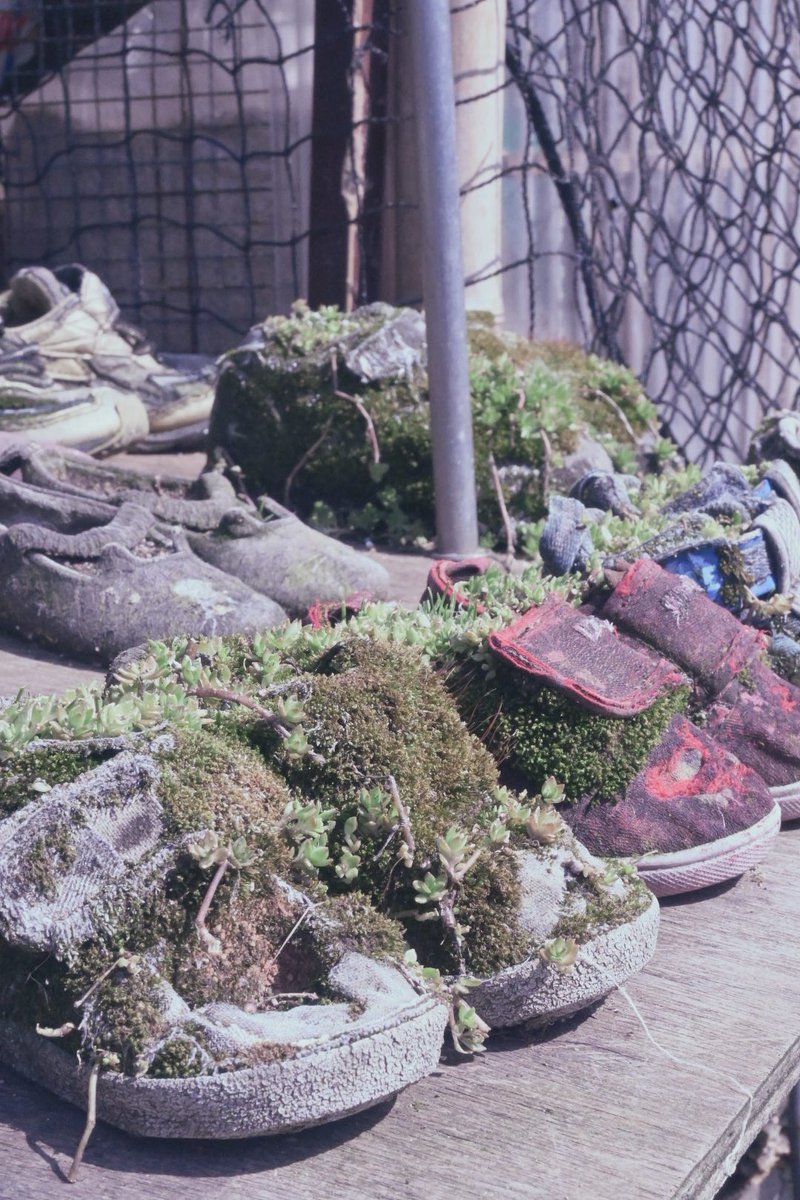 pel__and's tweet photo. きみが失くした想い出を、
 #私とニコンで見た世界 https://t.co/3yAwtZnsEw