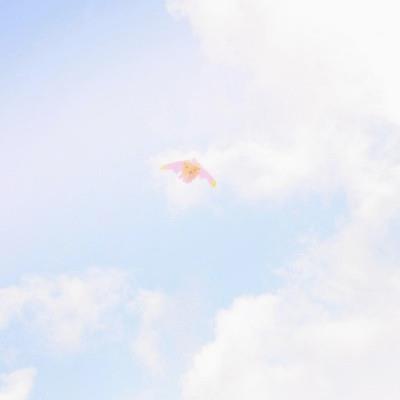 lonewolf5577's tweet photo. AI reshapes industries with smart devices and NFTs. It enhances productivity. It paves the way for sustainable solutions. Staying ahead in this digital era relies on embracing such advancements. It paves the way for sustainable solutions. 🎁 🌸 https://t.co/Ui541JGPKY