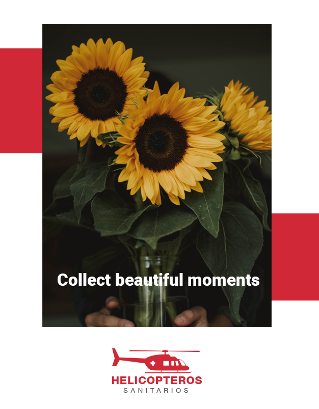 HeliSanit's tweet photo. Good morning! We hope you have an amazing start of the week 😊

#happymonday #mondaymotivation #costadelsol #sotogrande #manilva #fuengirola #marbella https://t.co/PMn5Uhq3Gs