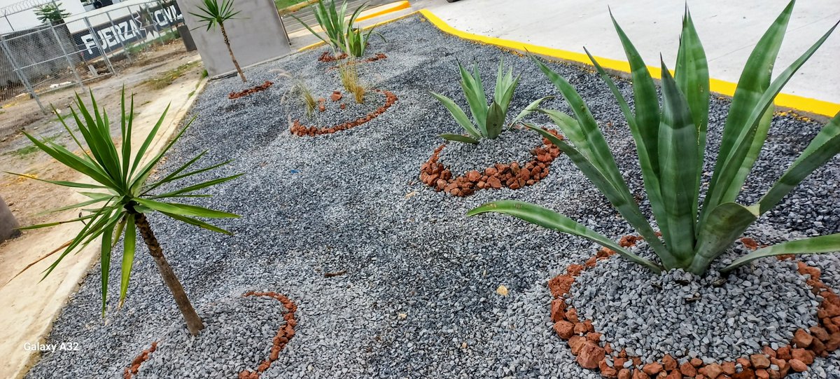 SYY2222's tweet photo. Este espacio fue diseñado bajo principios de sostenibilidad, priorizando especies de bajo requerimiento hídrico, cobertura mineral permeable y una distribución que minimiza las necesidades de mantenimiento y riego.

🌿 Menos agua. 🌧️ Más infiltración. ♻️ Mayor sostenibilidad. https://t.co/kKcAWwpFGm
