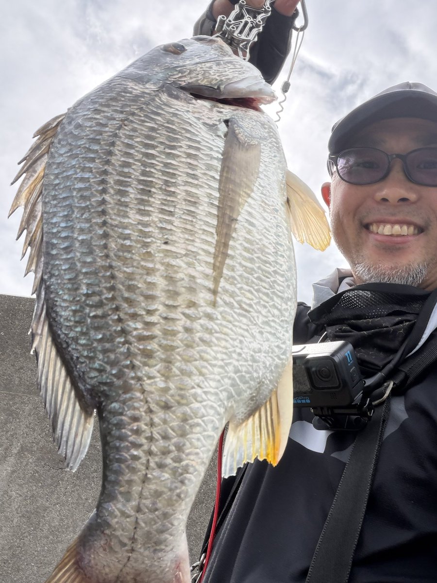 Kuni_fish's tweet photo. 今朝の名古屋港
1プチ1ギマ
で、Dr.ストレッチの予約時間になったので帰ろうとしたらデカキビレが居喰いしてた

#dr.stretch 
#名古屋港 https://t.co/f2stifedCv