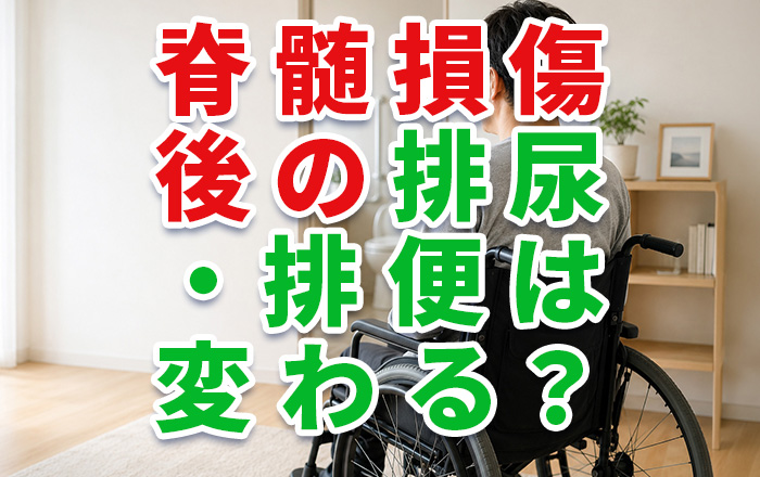 NeurotechOsaka's tweet photo. 【脊髄損傷後の排尿・排便はどう変わる？生活への影響と対処法】
https://t.co/nHhgeO2YQp
#脊髄損傷 #排尿障害 #排便障害 #神経因性膀胱 #リハビリ https://t.co/kz2cdTtXb2