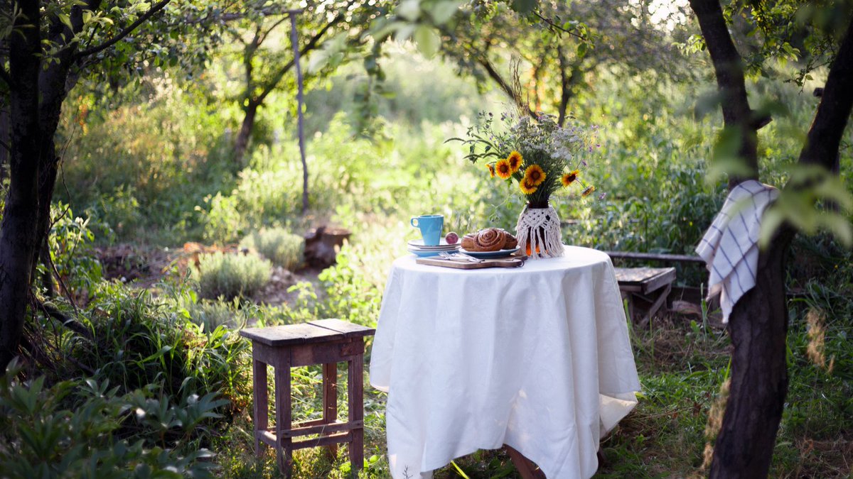 WoodheadCottage's tweet photo. https://t.co/prxFY1NN9P