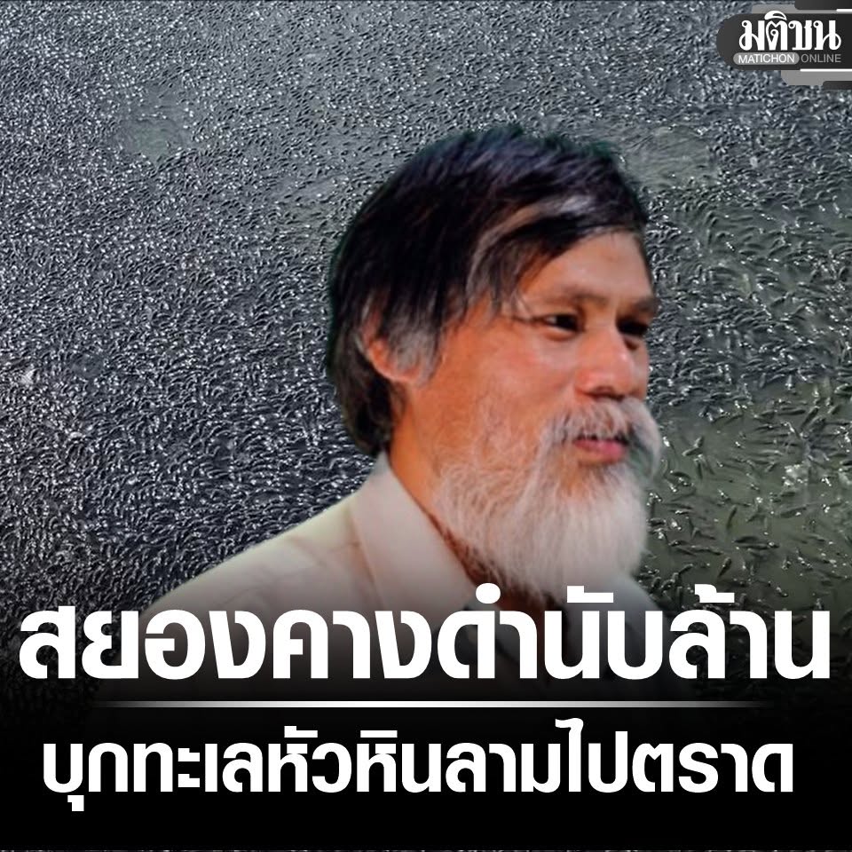MatichonOnline's tweet photo. สยอง หมอคางดำ นับล้านตัวบุกทะเลหัวหิน ลามแล้วถึง ตราด แจงสีดำเข้ม เพราะอยู่น้ำครำ ไม่ได้กลายพันธุ์
#ปลาหมอคางดำ #มติชนออนไลน์ https://t.co/SNWZXxuItZ