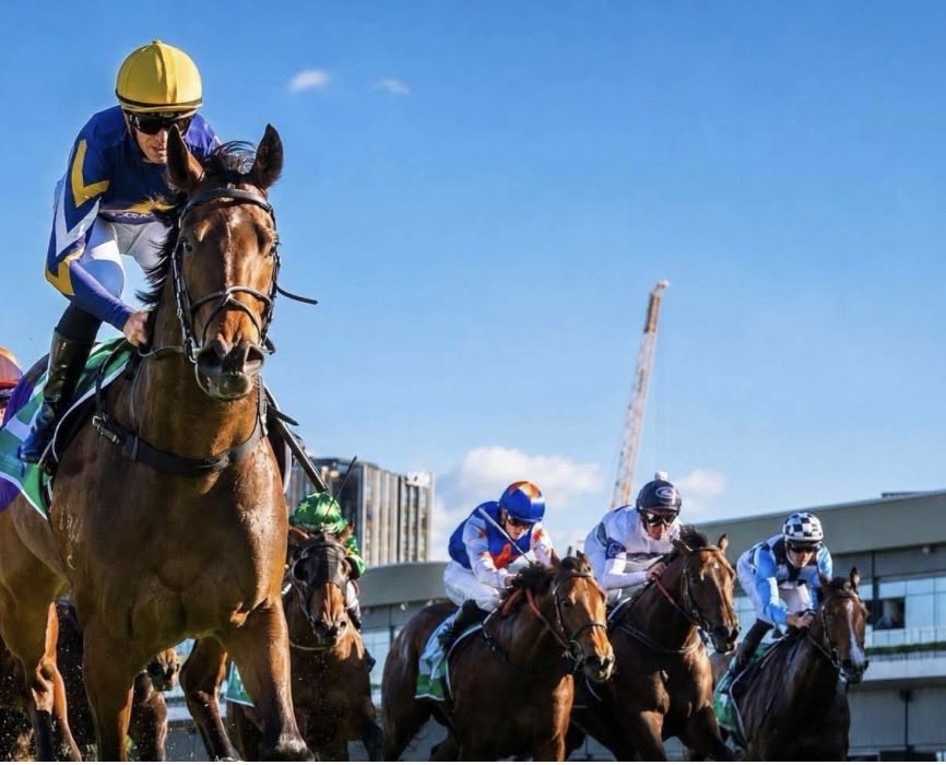 StrongBldStock's tweet photo. ICE KOOL wins again and remains unbeaten in Sydney ❄️ 

READ ➡️ https://t.co/NaU7PyXpZs https://t.co/oEadLqfHbH
