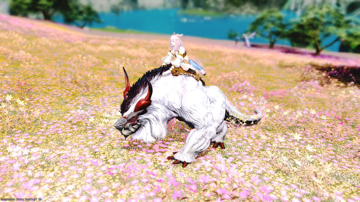夢中ねごと🔪💤𝖵𝗌𝗍𝗋𝖾𝖺𝗆𝖾𝗋 tweet media