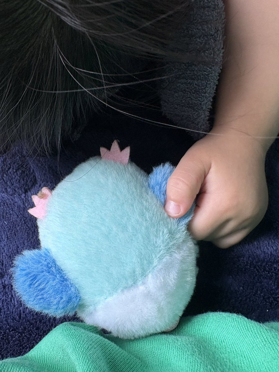 _m_3454's tweet photo. 手？羽？繋いで寝てる息子くん(*´ω`*) https://t.co/TA5LXBEdyH