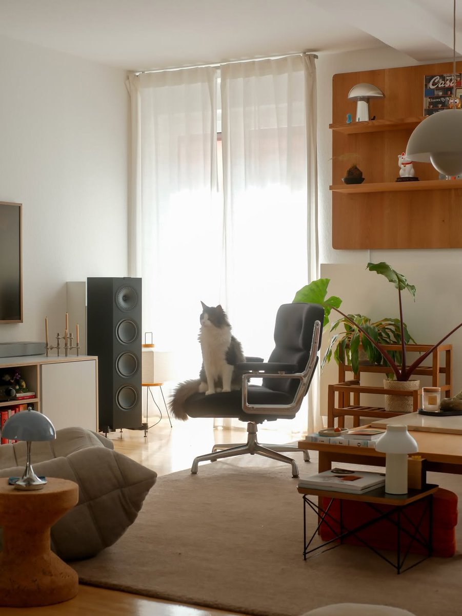 interiorsuckerr's tweet photo. https://t.co/ObTZSXj3wl