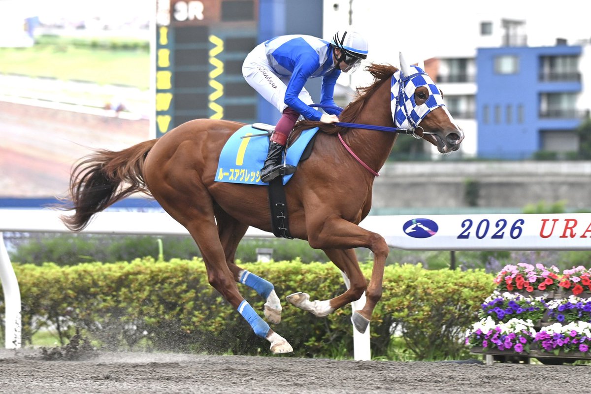 urawa_keiba's tweet photo. 浦和3Rで行われたドリームチャレンジ #2歳新馬 は､小久保智厩舎の #ルースアグレッシブ が逃げ切り､8馬身差Vを飾りました🎉

馬主は山口裕介様､生産はStoneriggs Farm様｡

父はCharlatan､母はWild Empress､母の父はEmpire Makerという血統の牡馬🏇💫 https://t.co/73Q858LLQW