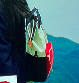ドラマ衣装バッグ紹介～ばくのどら～ (@checkdorama) / Posts / X