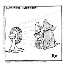 gsrescueelite's tweet photo. #MondayMorning again and it's going to be scorchio this week so we are playing the broken record, if it saves one #dogs life then it's worth the nagging.
Have a great week everyone ❤️ 

#GermanShepherd #Monday #MondayMotivation #MondayMood #Heatwave https://t.co/O0mTTvNXzM