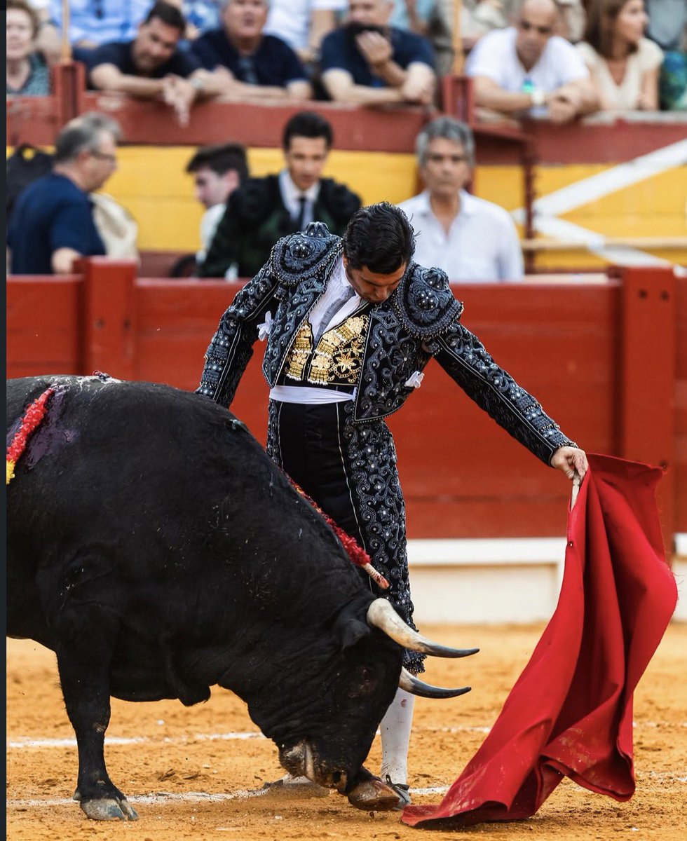zabaladelaserna's tweet photo. Con ese vendaval no se podía torear. 

Morante. 

 📷 Roberto Yuste https://t.co/YX13IFyzIS