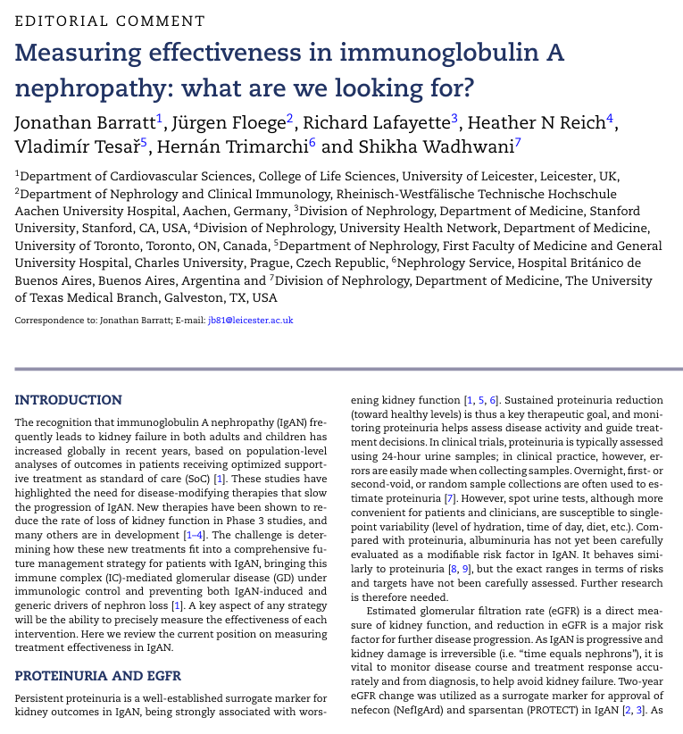 CKJsocial's tweet photo. Measuring effectiveness in immunoglobulin A  nephropathy: what are we looking for?

https://t.co/unsUso2tn3 https://t.co/5j1T4ELeZq