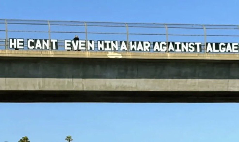 locuta's tweet photo. - Er komen demonstranten naar de Reflecting Pool met spandoeken en t-shirts met teksten als 'Team Algae', 'Let's grow algae' en 'Go algae'. https://t.co/YgNcuma4d5