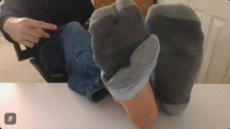 paws_in_ur_face tweet media