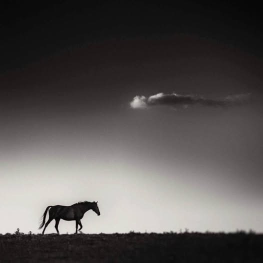 argorkey's tweet photo. © Andy Lee https://t.co/kGFQRbgysj