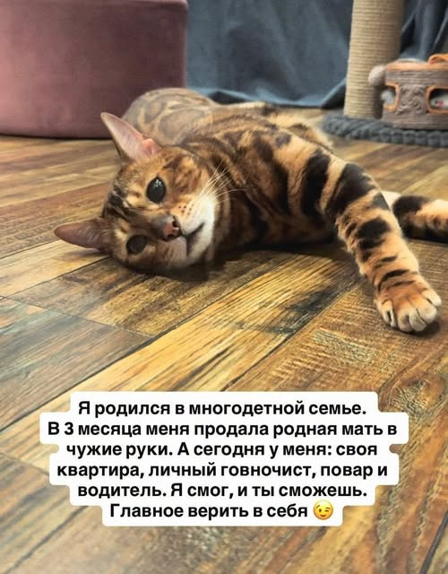 Elenaprostota's tweet photo. 🤣 https://t.co/iEWUlMUJNN