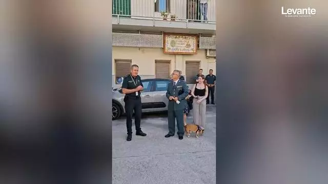 levante_emv's tweet photo. 👉De la cuna a la jubilación: una vida entera de servicio en el cuartel de Patraix
✍️Marina Molina
https://t.co/peAqAB3YgW https://t.co/fZ5CQlCrbb