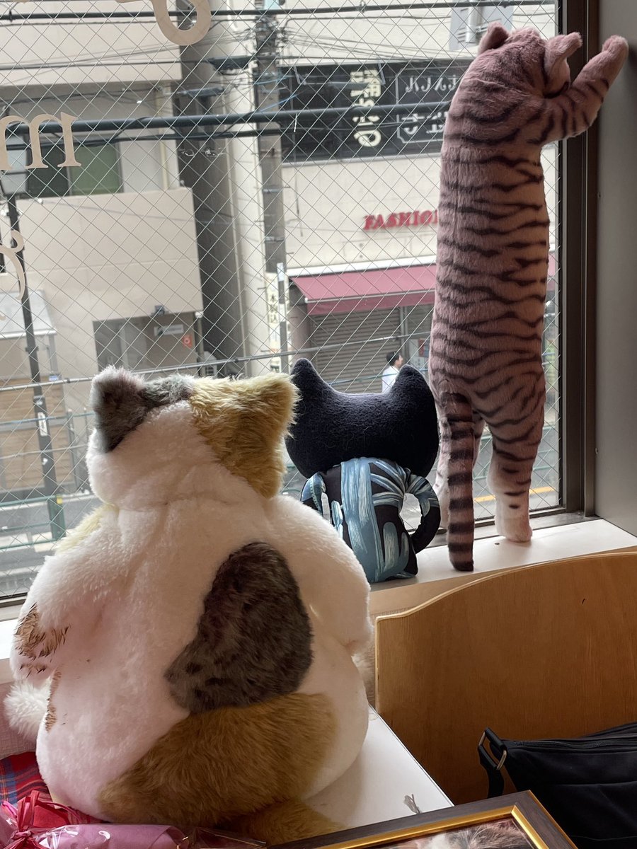 ドラねこ展 初めてのグループ展で絵画の展示や参加の仕方などの経験が