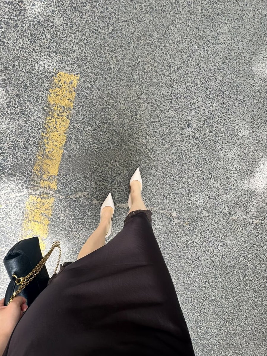 一只猫女士 tweet media