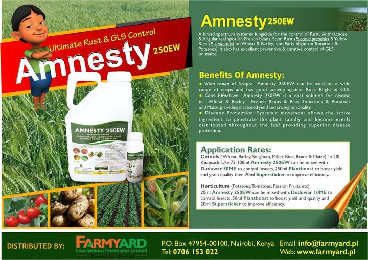 Mcl_kenya's tweet photo. Rust can ruin your wheat fast if you delay. Stay ahead with AMNESTY 250EW—effective against stem & stripe rust, even in cold, humid weather.
Protect your crop early for a better harvest. 🌱
#Admin1 #WheatFarming #CropProtection https://t.co/Y4SsHFUh60