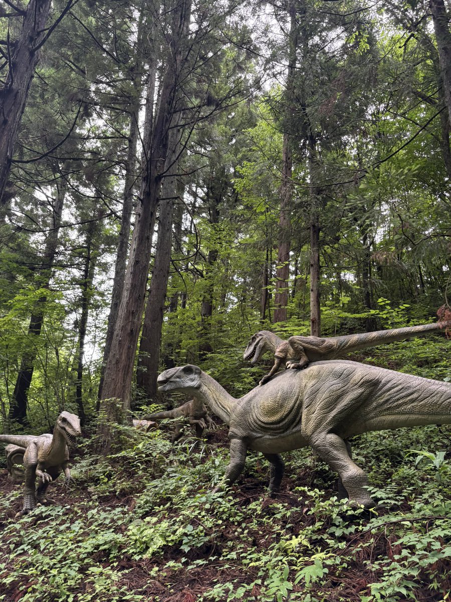 ma_chi0524's tweet photo. かつやまディノパーク🦖✨ https://t.co/z2nzSWJ1VT