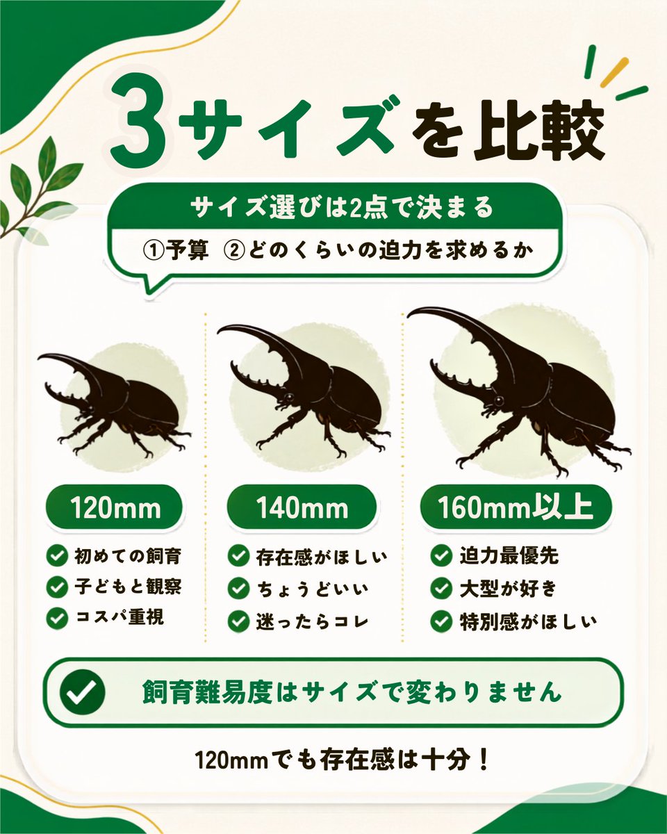 DMMInsect's tweet photo. ヘラクレスのサイズ選びは2点で決まる🪲
①予算 ②どのくらいの迫力を求めるか
120mmでも存在感は十分。
飼育難易度はサイズで変わりません✅ https://t.co/wEZ76bMo7C
