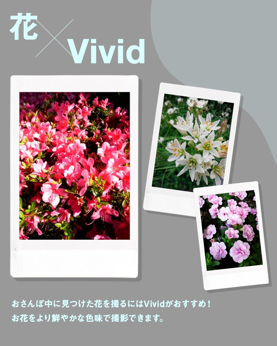 INSTAX“チェキ”公式 (@fujifilmjp_ck) on X