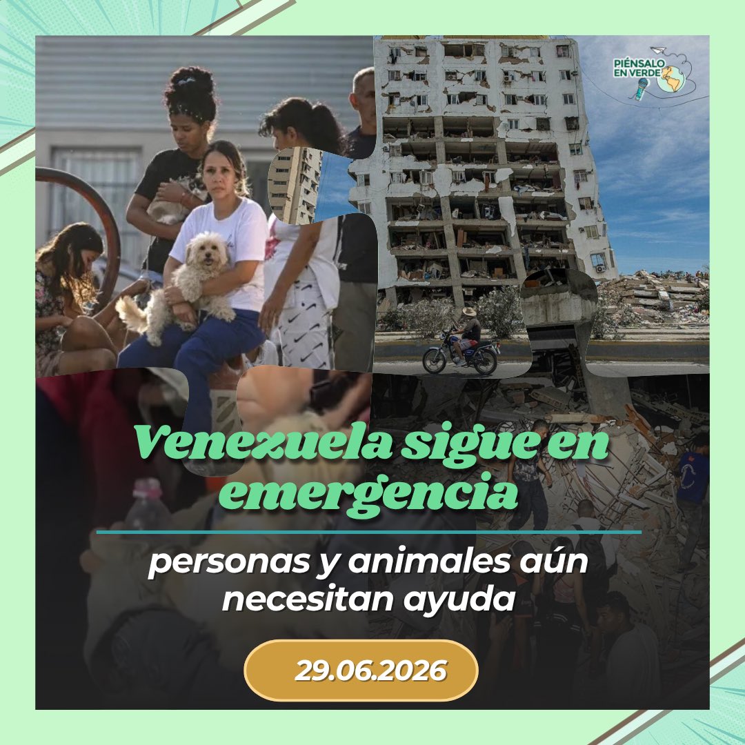 piensalo_verde's tweet photo. 1/3 🇻🇪💔 La emergencia en Venezuela continúa. Mientras siguen las labores de rescate tras los terremotos y un nuevo movimiento sísmico. Al menos 1450 fallecidas, 3.238 heridos,680.000 de niños en condiciones de vulnerabilidad y ¿animales? #VenezuelaNoEstáSola https://t.co/sVuYQ0duNV