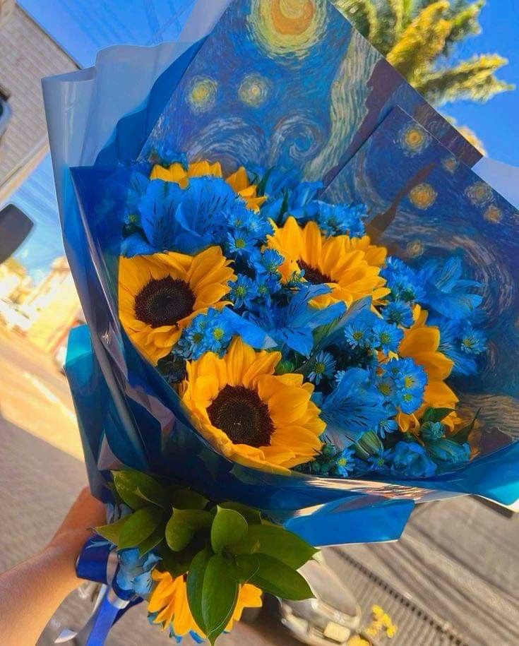 Solara786's tweet photo. Pretty 🌻 https://t.co/iJJB2sQNpu