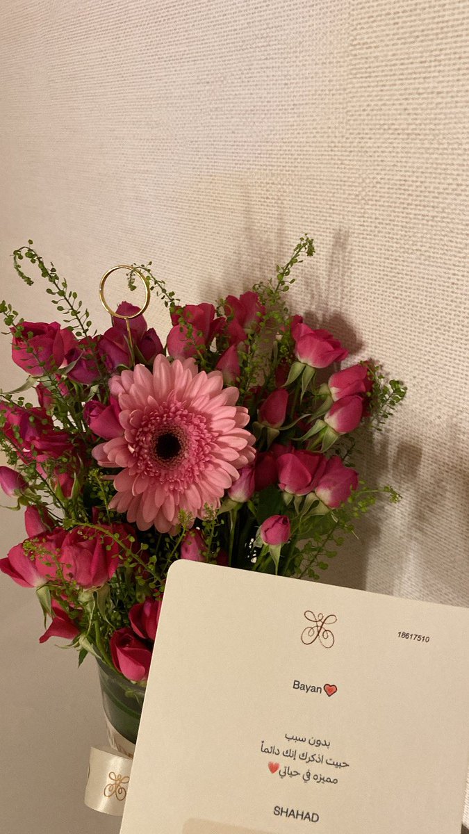 qslva0's tweet photo. made my whole week😢🤍🤍 https://t.co/O5pAmeBeI4
