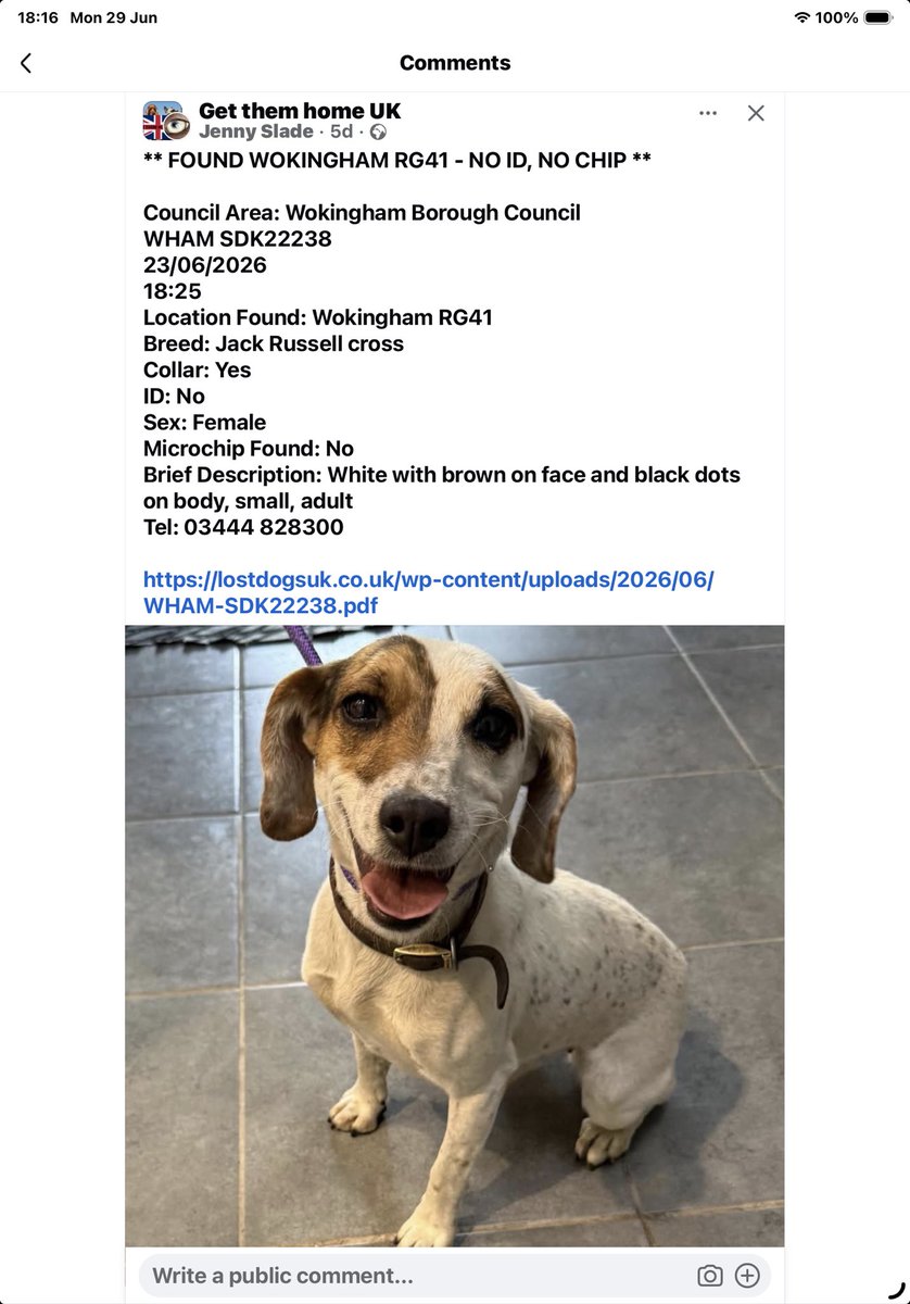 vendyg2's tweet photo. #founddog please share https://t.co/K66t8HIMKP