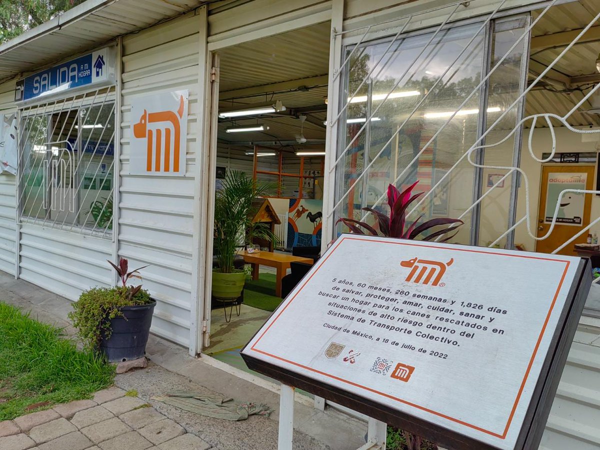 ctcdelmetro's tweet photo. Únete a la comunidad de perritos del #CTCDelMetro. 

Aquí podrás conocer:

🐾Sus historias. 📖

🐾Los requisitos de adopción. 📝

🐾La forma de realizar donaciones. 🧡

Ayuda a nuestros amigos peludos a encontrar un hogar. 🏡🐕 #AdoptaNoCompres #AUnMetroDeSuHogar #AdoptaAUnAmigo https://t.co/hMq8ydzhlQ