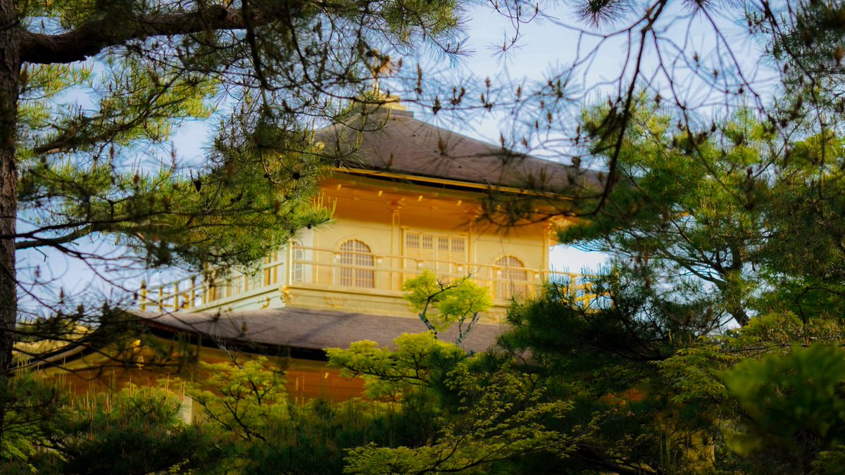 idrissblk's tweet photo. Archives 2025 🇯🇵✨ https://t.co/KmsYhpW4EV