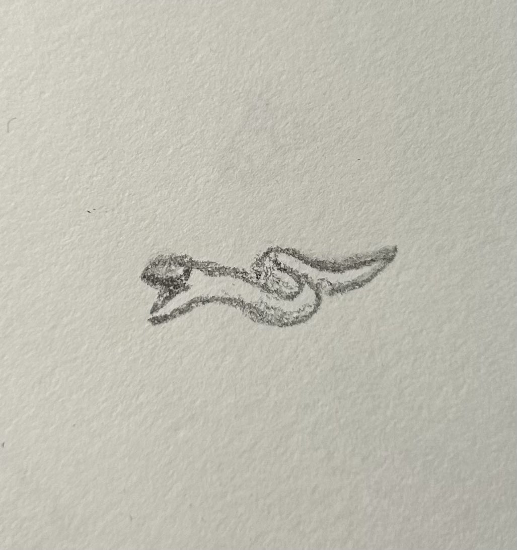 TheToeMonkey's tweet photo. Day 1344: eel https://t.co/ybApjy5eFn
