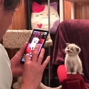 rubiedesumt's tweet photo. พิ้กอะป่าว ₍⑅ᐢ..ᐢ₎ https://t.co/QTxiwhuhvB