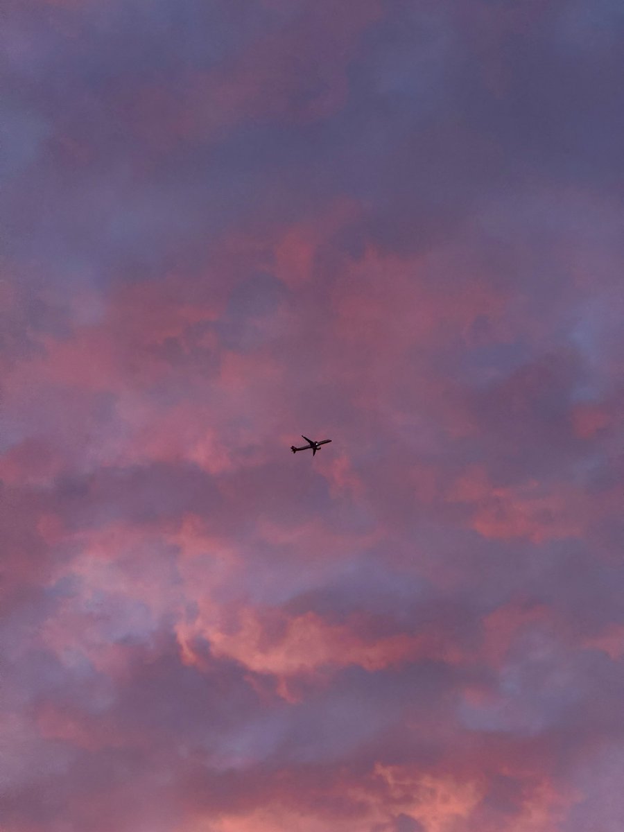83Anaelle's tweet photo. “June was coming to an end, and her heart had never felt so light.

It felt as though it could be carried away by a single sweep of the warm summer breeze.” https://t.co/DONwLZ5pHi