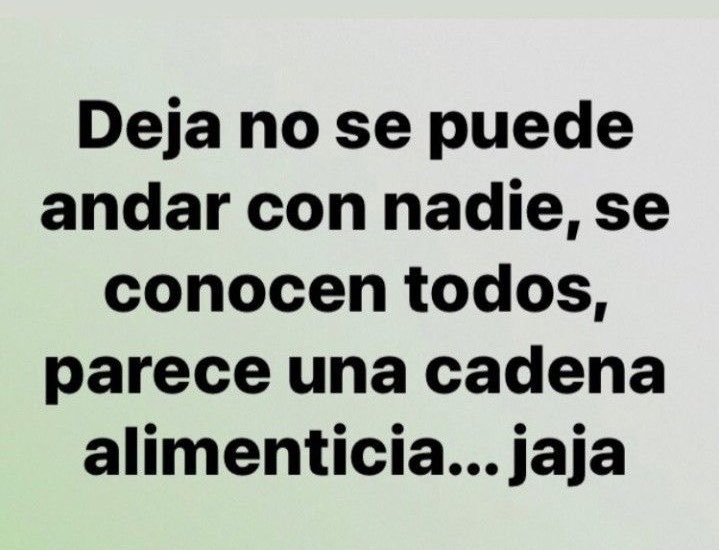 rocha tweet media